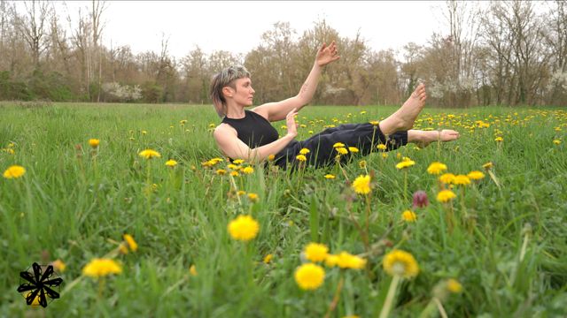 DIE GEHEIME SPRACHE DER WILDPFLANZEN