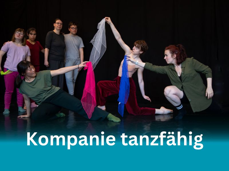 Performance Kompanie tanzfähig 2023, ,,15 Jahre Handiclapped"