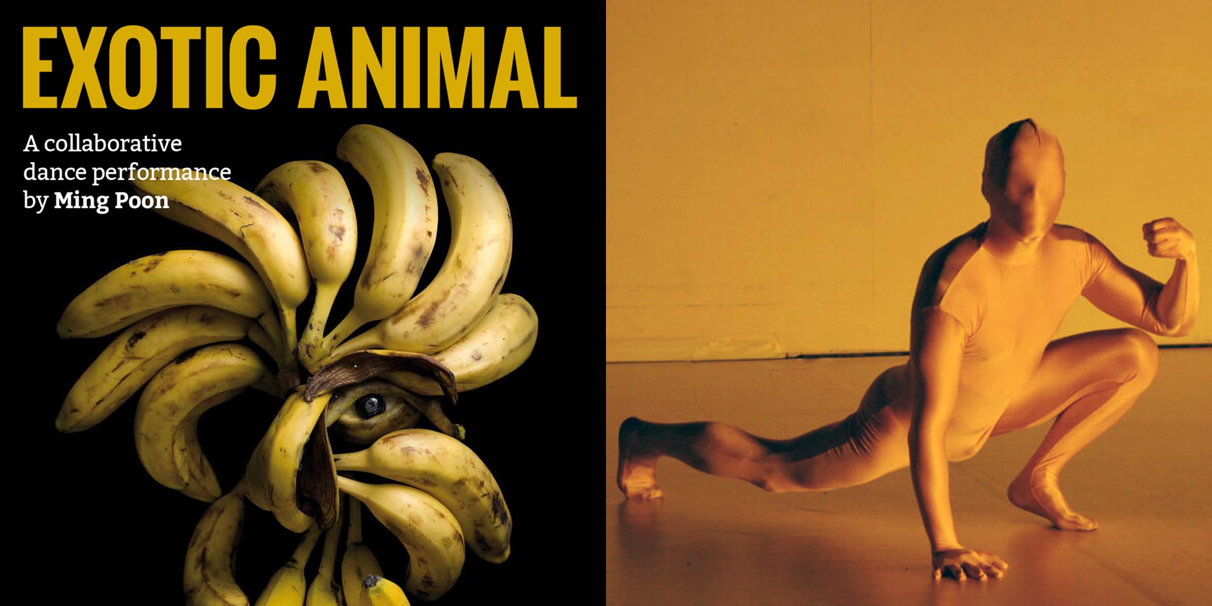Exotic Animal | Premiere: 3rd December 2020 | English Theatre Berlin / International Performing Arts Center